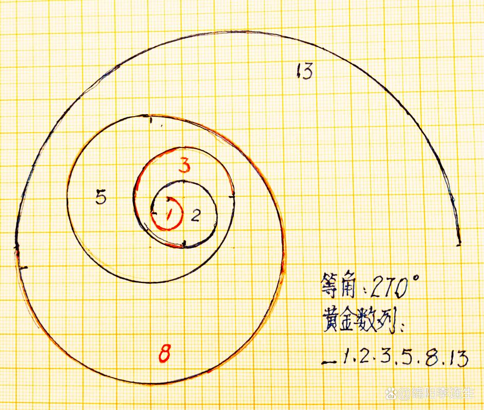 蜗牛壳对数螺线解剖图