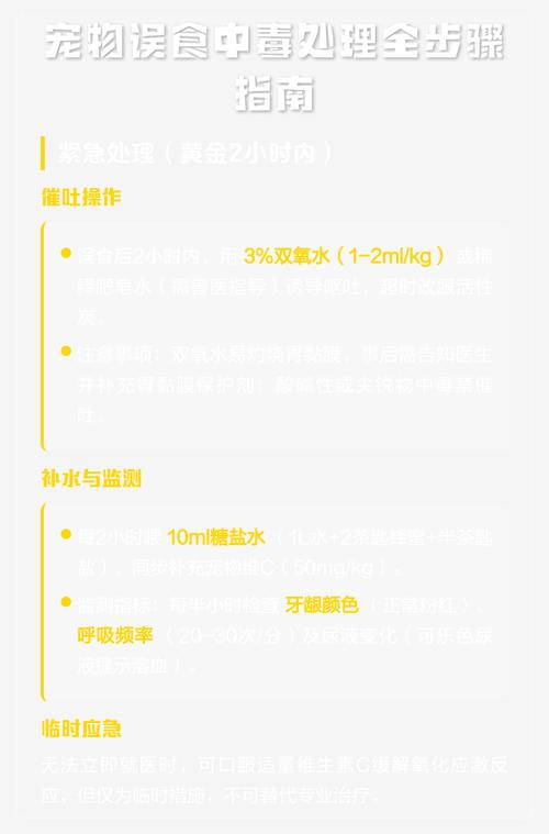 宠物误食中毒后家庭紧急处理步骤示意图