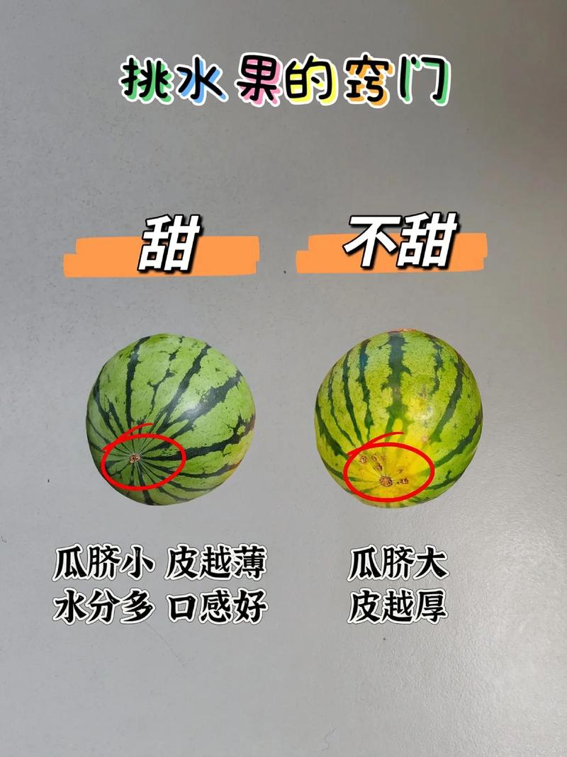 怎么挑才不会当冤大头