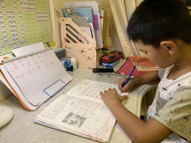 蹲在书桌前把数学练习本揉成球的那天，我才搞懂什么是真正的科学复习方案
