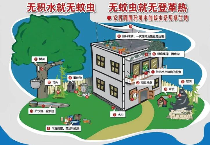 家庭容易积水滋生蚊虫的角落示意图