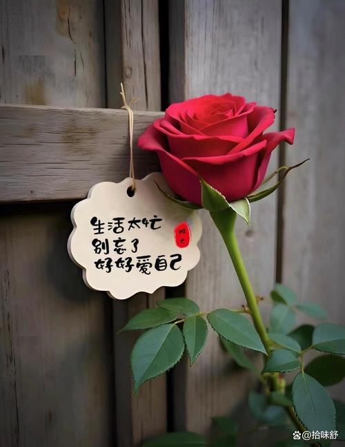临时的装饰，装的是不凑合的心情