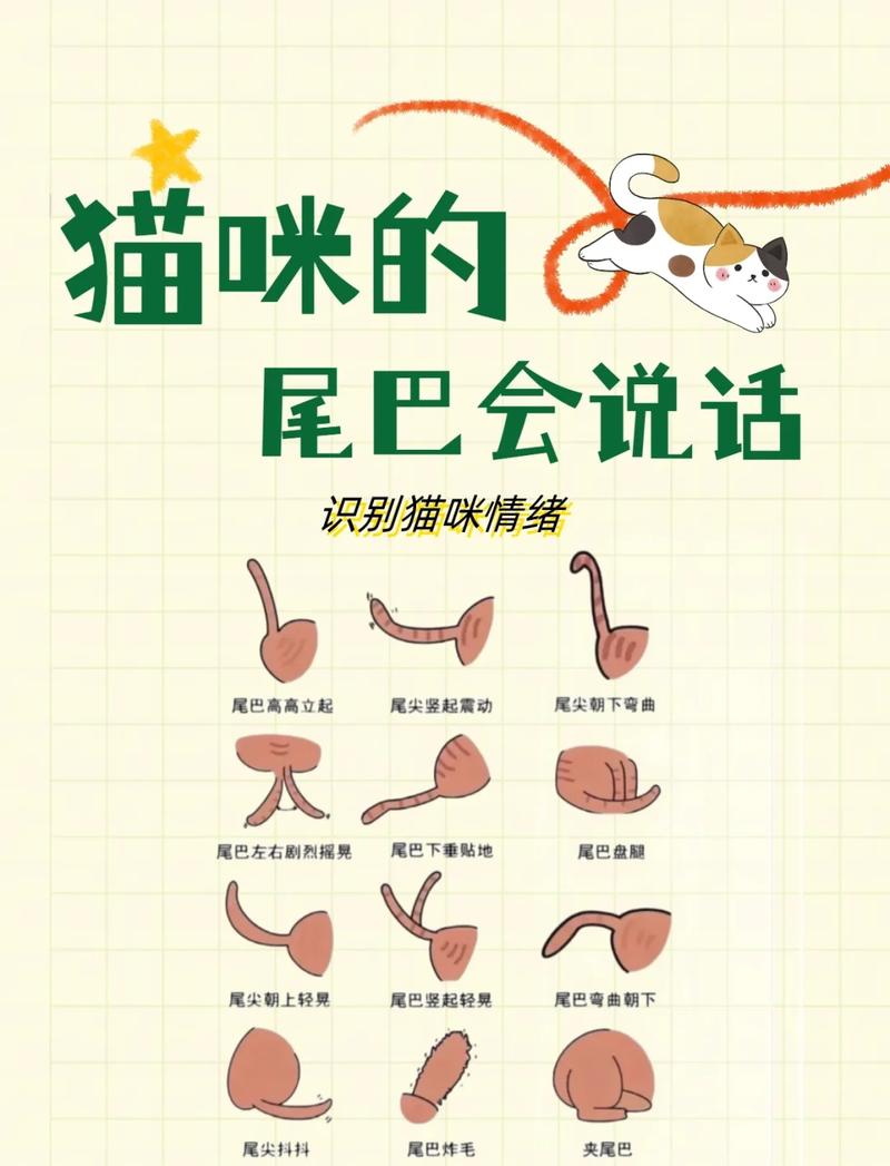 3. 留个“下次好说话”的尾巴