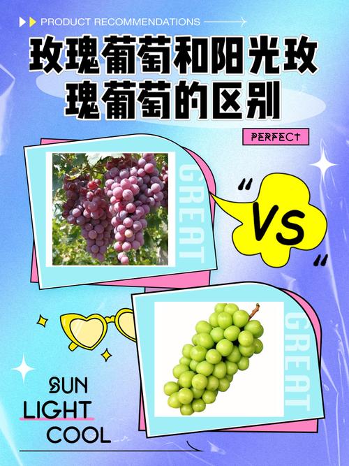 葡萄的世界:从鲜食到酿酒的深度探索-因为所以