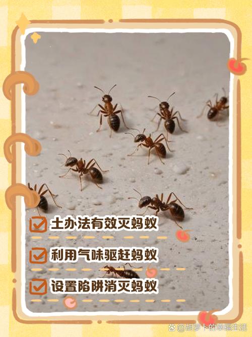 给你三个土办法