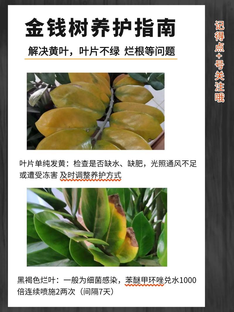 木质地板养护：12个装修业主最关心的问题解答