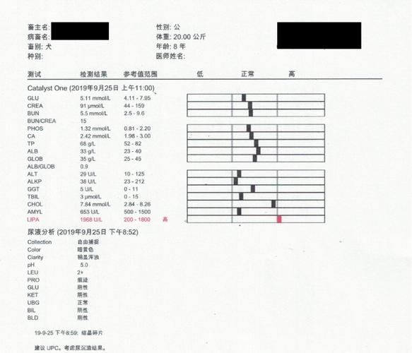 确诊犬胰腺炎的狗狗血液生化检验报告单