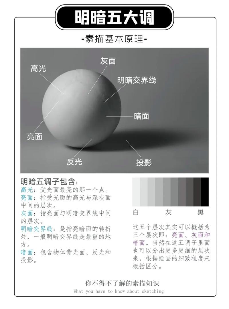 初学者素描五大调子正确错误对比图