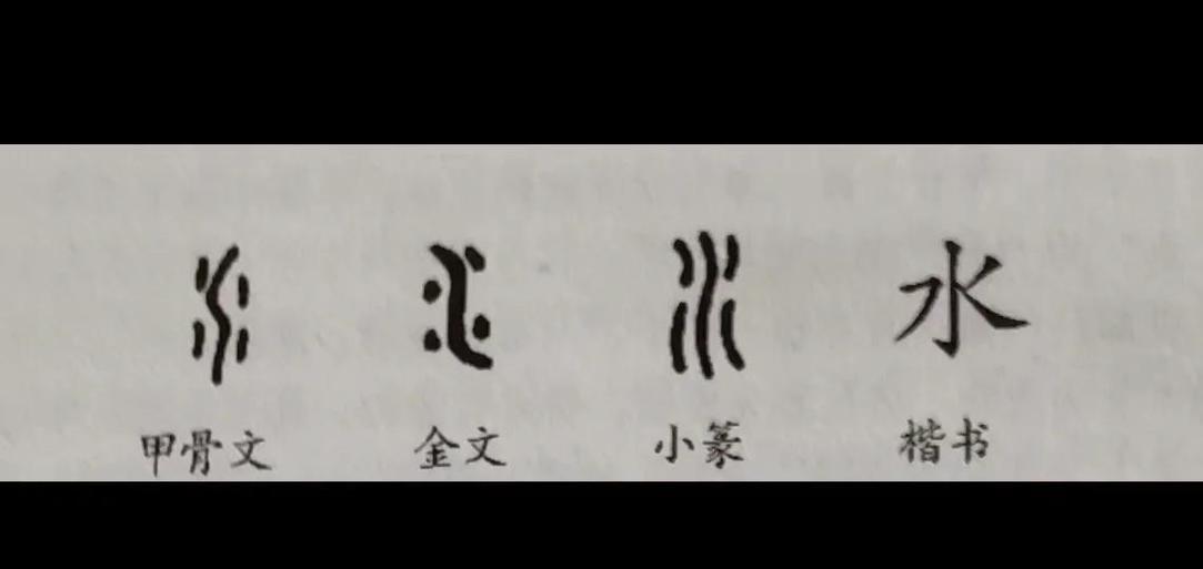 甲骨文水字与篆书水字演变图