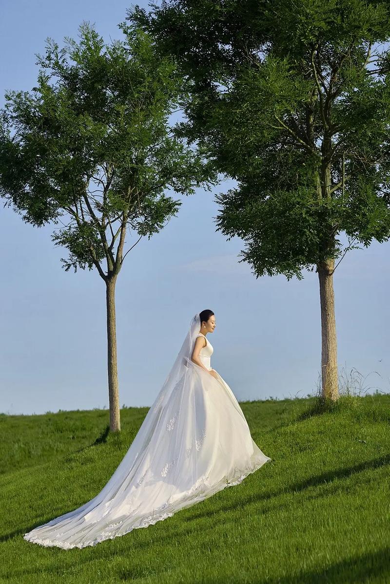 婚礼草坪上新娘穿轻婚纱背影