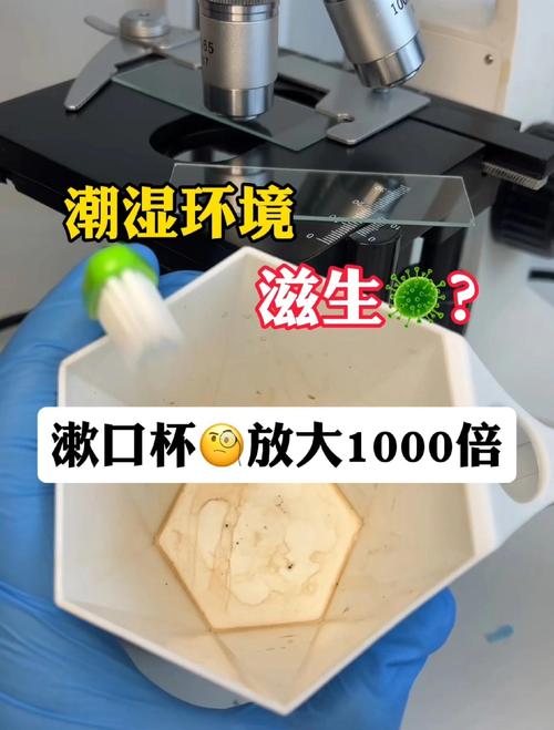 家居潮湿清洁工具病菌滋生显微镜图