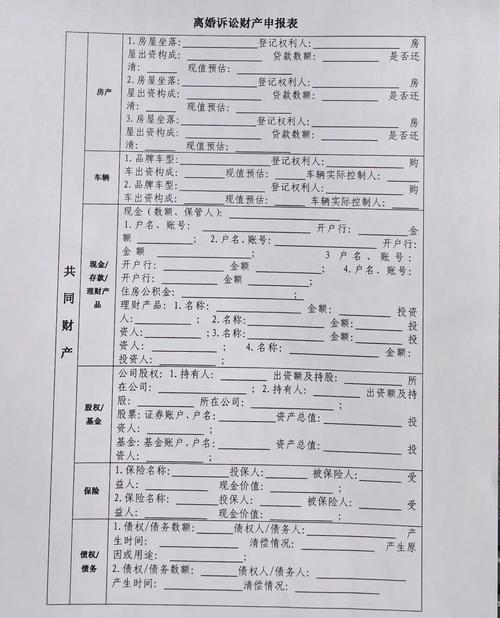 挥霍共同财产诉讼举证责任划分表