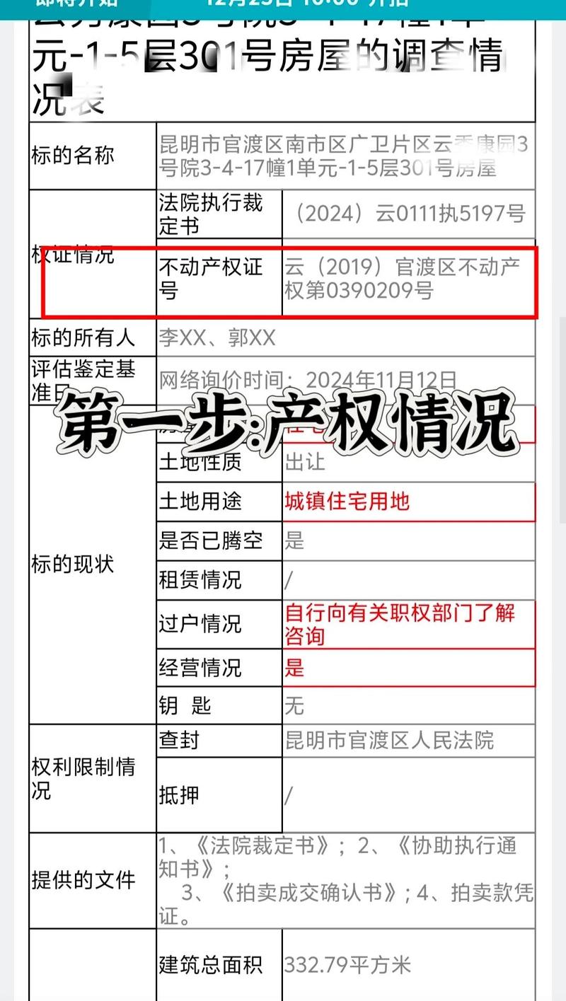 法拍房尽调报告标注产权风险项实拍
