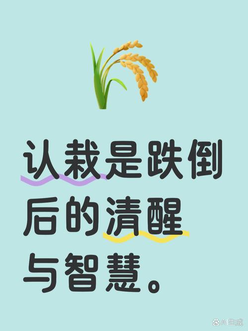 踩了坑,普通人真的只能认栽吗