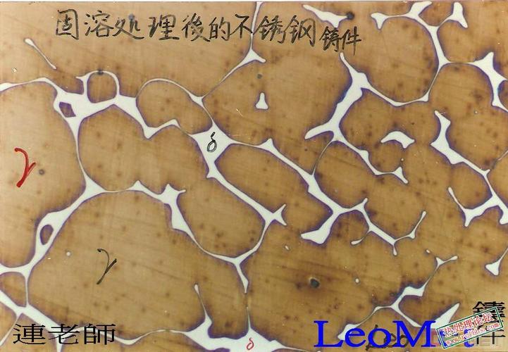 车削不锈钢304时产生的积屑瘤显微照片