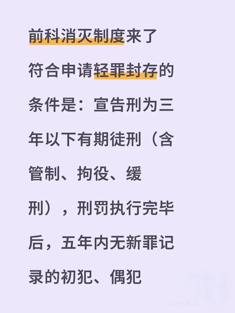 中国轻罪前科消灭申请政策文件实拍