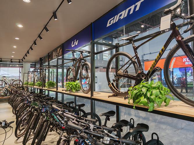 自行车线下门店展示的中高端公路车