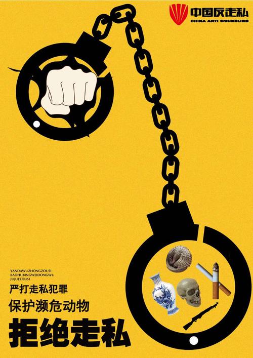 不同类型走私案件适配参考