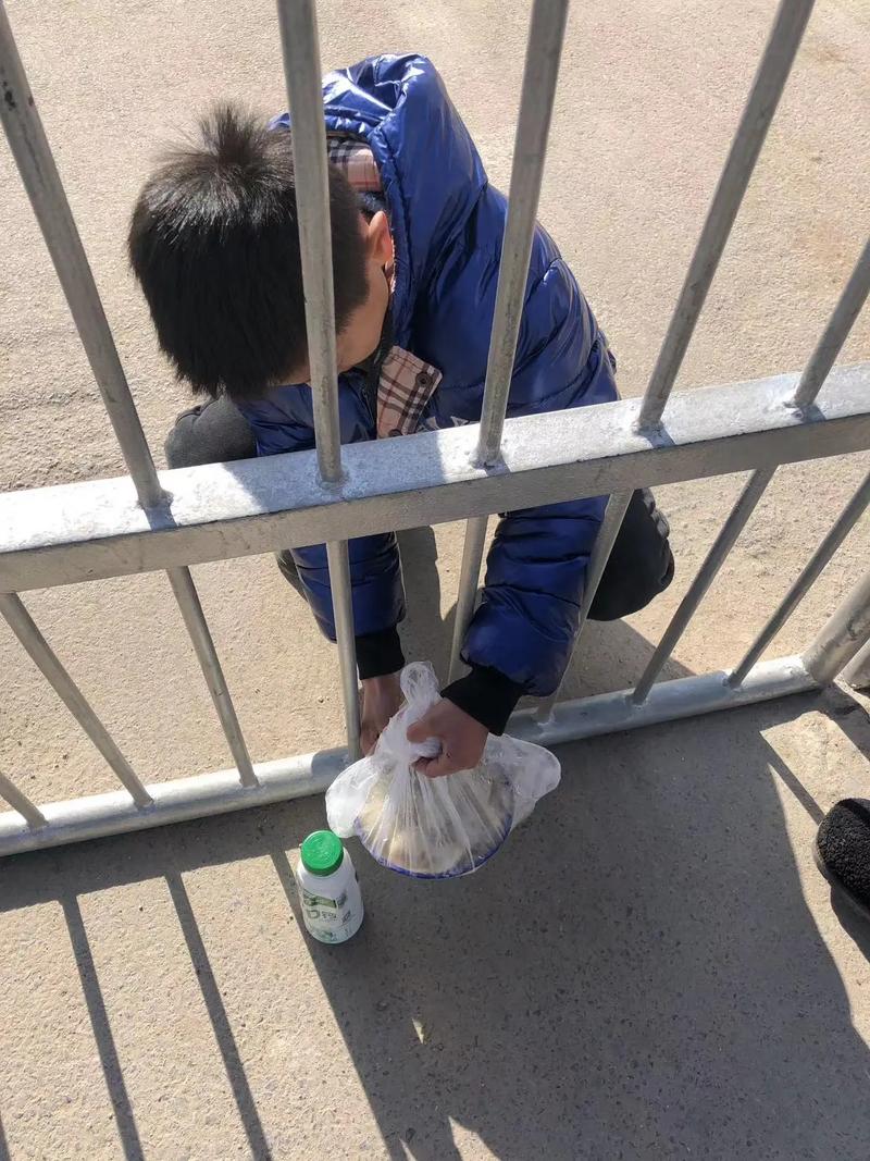 家长蹲在小学校门口接孩子 手里攥着半瓶喝剩的矿泉水