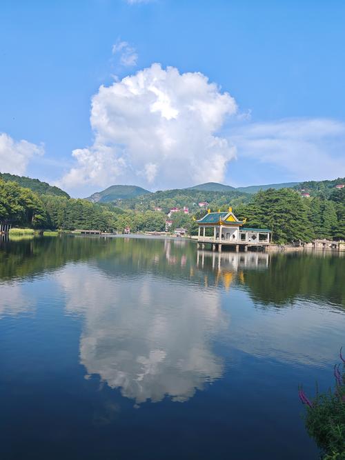 庐山如琴湖沿岸松枝临湖景观