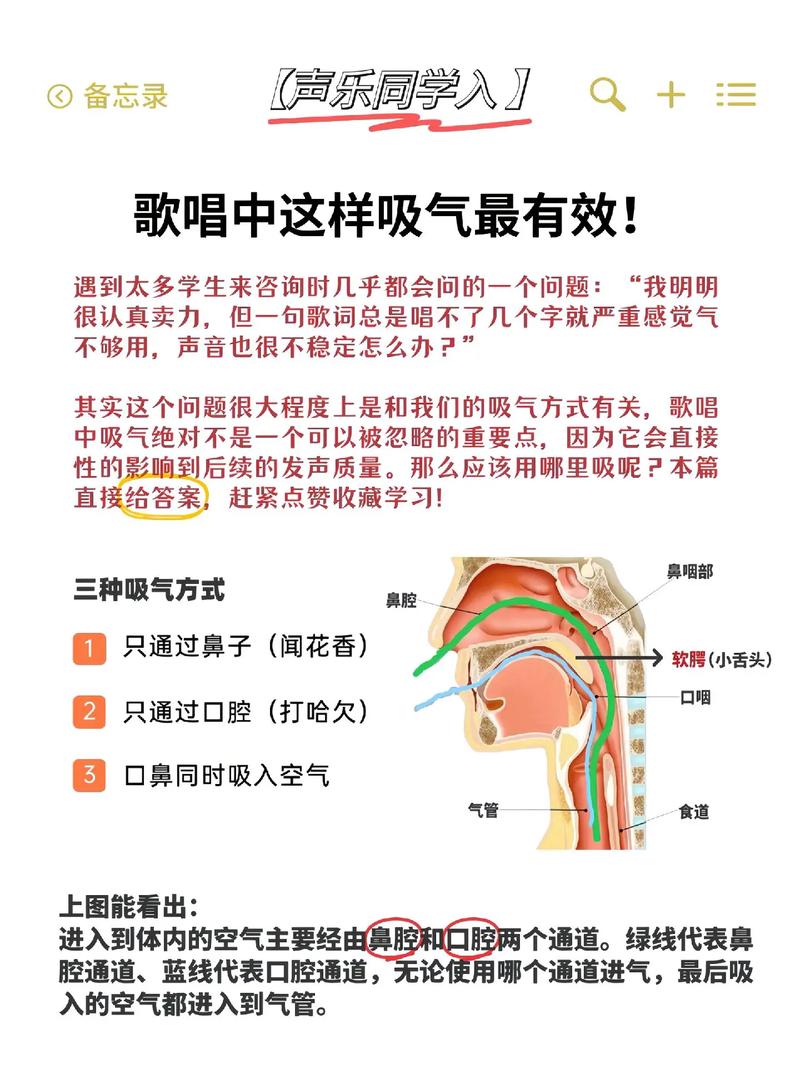 歌手放松喉咙唱歌示意图对比