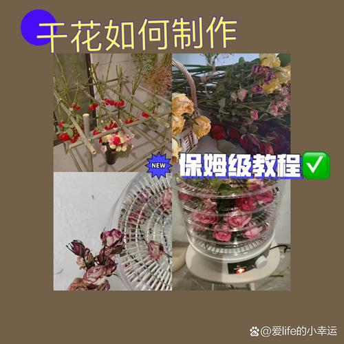 干花放久了积灰，怎么清理？