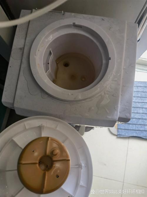拆解开的猫饮水机内部绿苔实拍