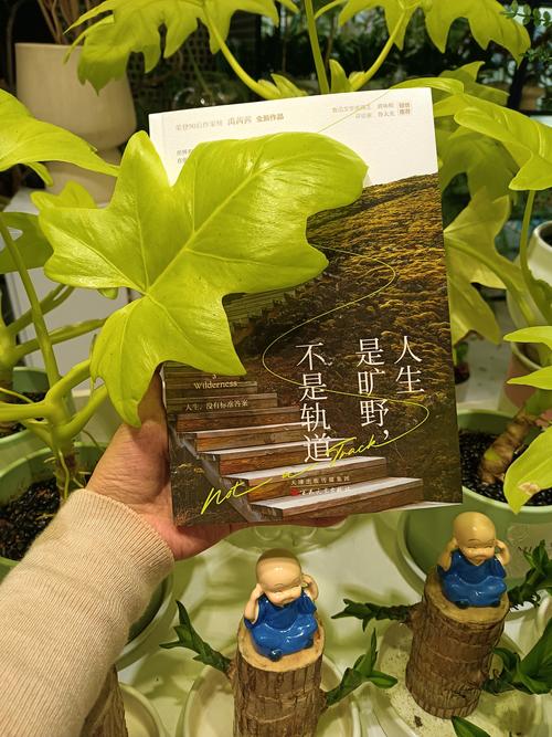 水泥森林里没有的哲学