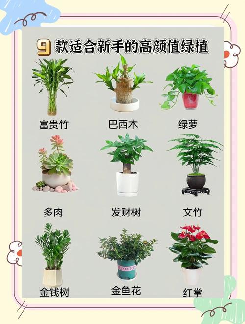 这些特殊绿植，养的时候留个心
