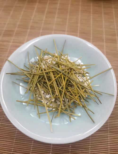 松针:被踩在脚下的叶子,其实藏着这些门道-因为所以