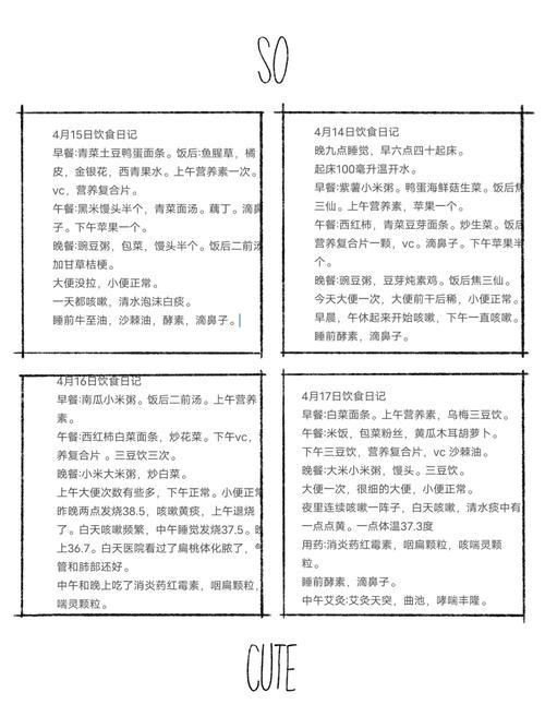 饮食日记中关联皮肤状态的记录条目示例