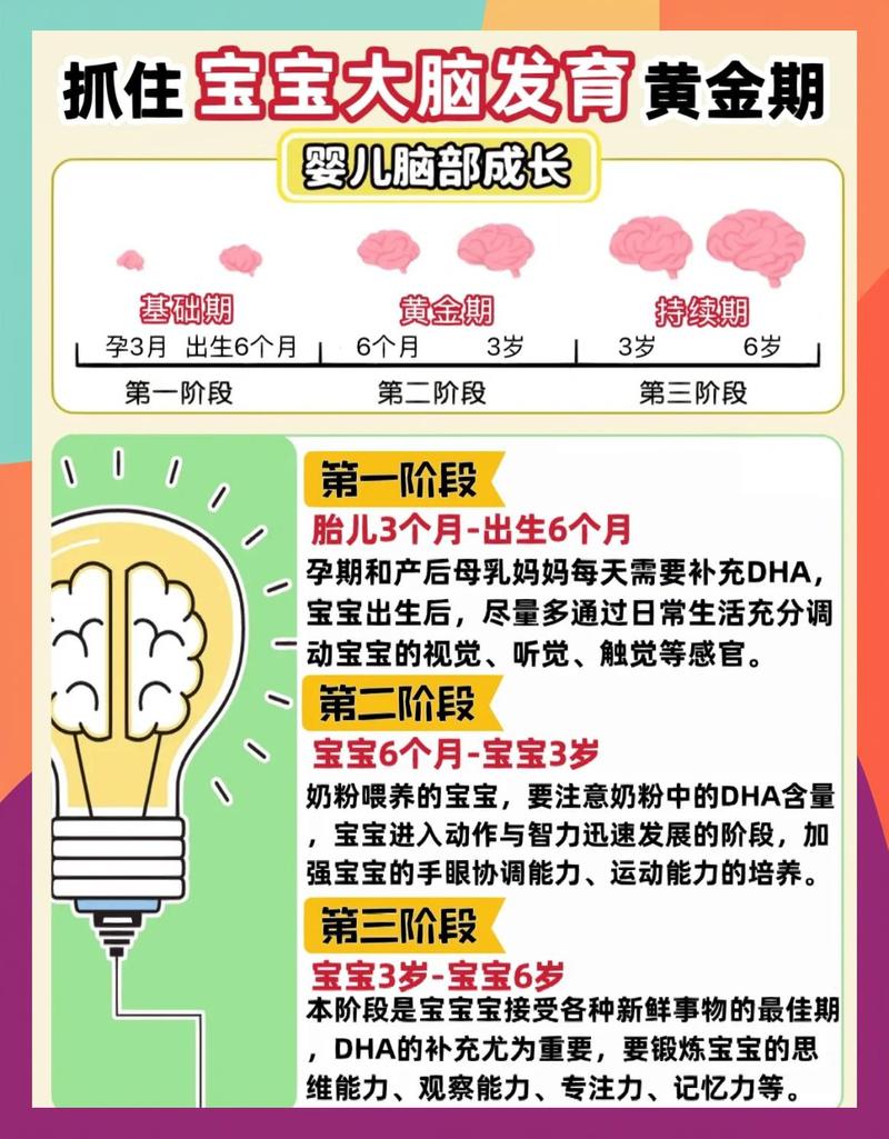 新生儿肌肤接触促进大脑发育过程图