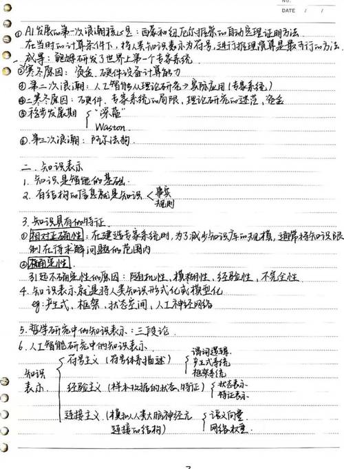 小学生调整人工智能流浪猫识别模型手写笔记