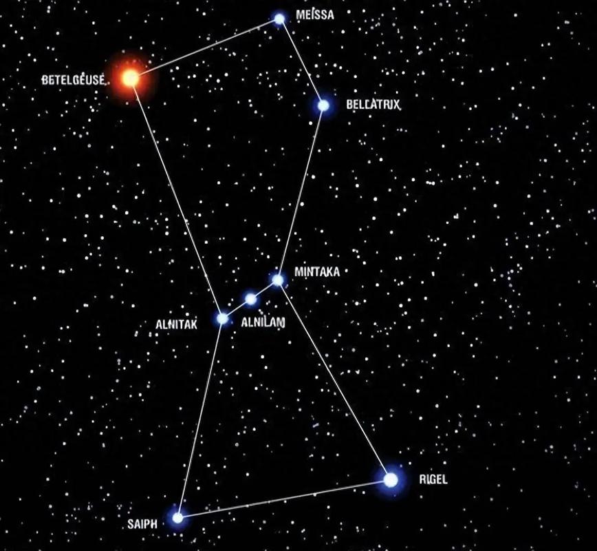 猎户座参宿四位置与恒星大小对比示意图