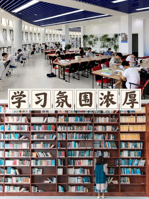 高校大学生图书馆备考证书场景
