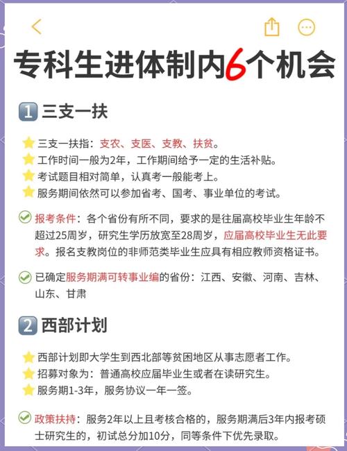 进体制，大专能报的岗位真没你想的少