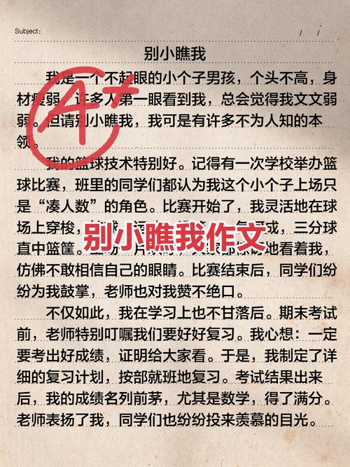 别看了，动手“抄”吧