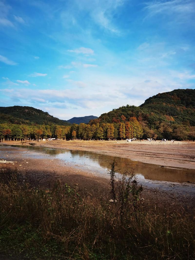 南漳花庄水库夏日水杉浅滩风景