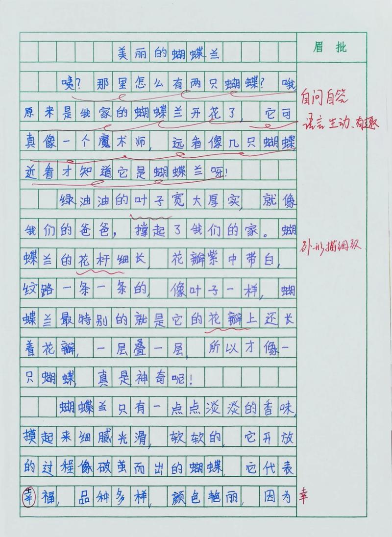 小学语文教师批改后的作文方格作业本