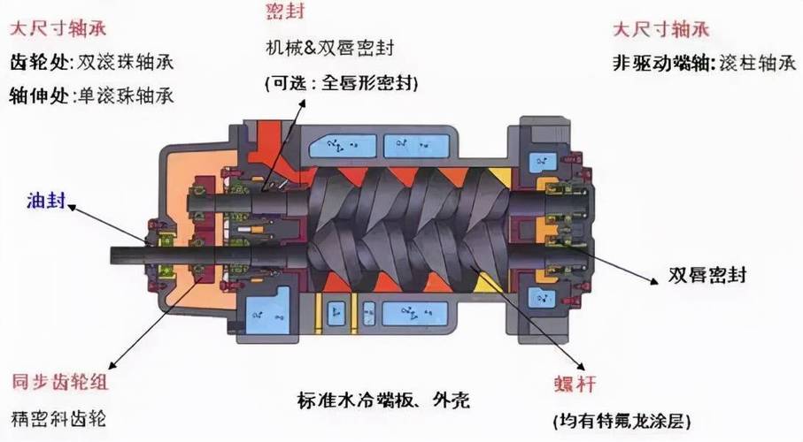 螺杆干式真空泵内部转子结构剖面图