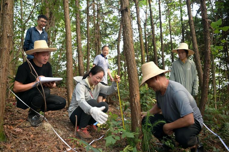 生态监测技术:从人工蹲点到天地组网,我们摸清了自然多少家底