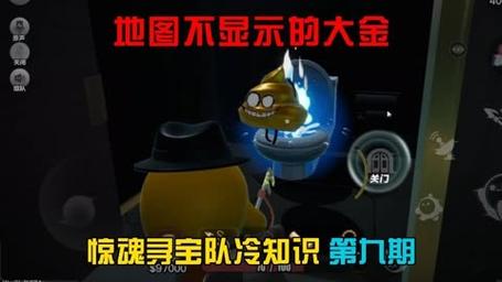 淘碟的乐趣:一场没有地图的寻宝游戏