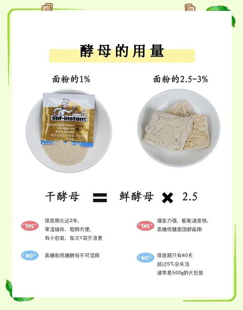 你真的了解你的酵母吗?
