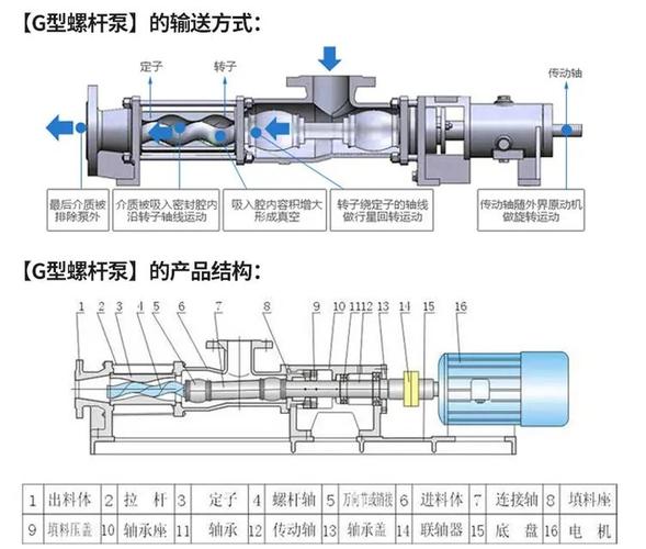 螺杆泵万向节磨损与润滑示意图