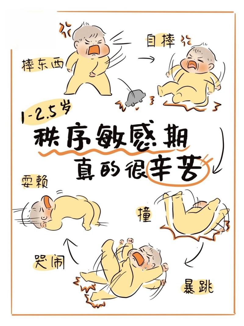 儿童秩序敏感期行为表现插图