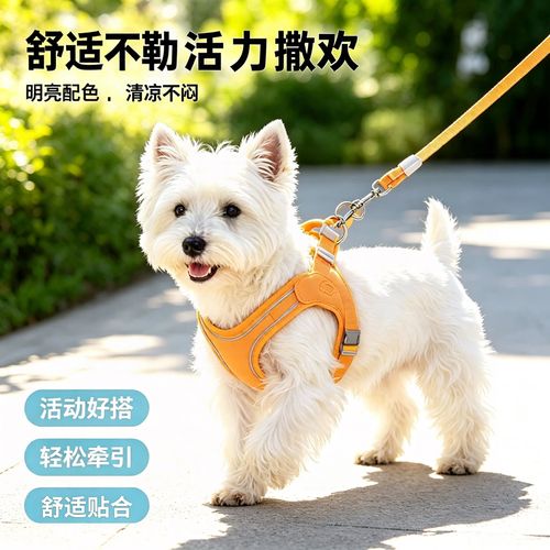 错误穿戴宠物胸背带勒脖子实拍