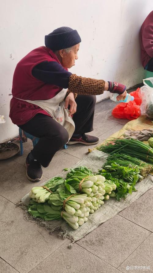 龙王庙正街菜市场,老奶奶卖菜,背景是待拆的老楼