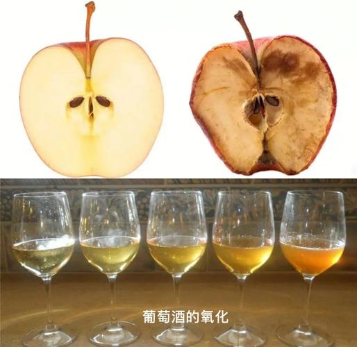 红酒在醒酒器中氧化颜色变化对比