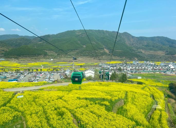 城际公交靠窗位看江南乡村油菜花路景