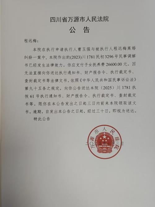 人民法院报离婚公告送达截图